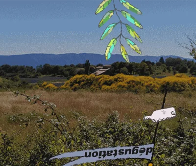 Jusqu'à plus soif