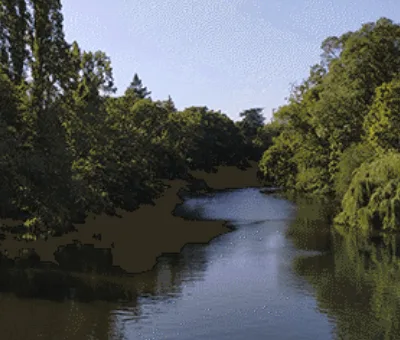 Bonne pêche